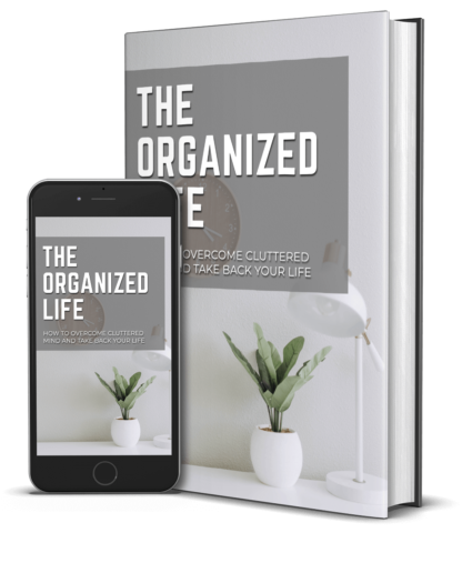 The Organized Life: How To Overcome Life - Image 2