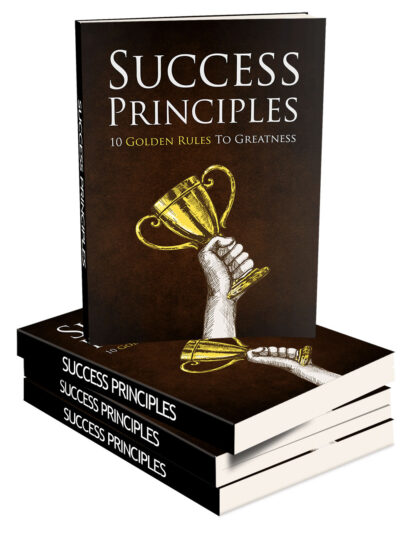 Success Principles: 10 Success Rules - Image 3